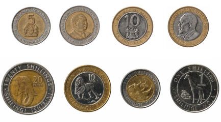 Leftover Currency - Kenyan Shillings currency overview