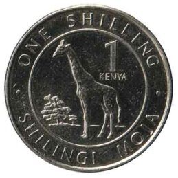 Exchange Kenyan Shillings In 3 Easy Steps - Leftover Currency